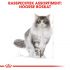Royal Canin Noorse Boskat Adult - Kattenvoer - 2 kg