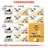 Royal Canin Noorse Boskat Adult - Kattenvoer - 2 kg