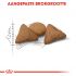 Royal Canin Indoor Appetite Control - Kattenvoer - 400 gram