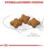 Royal Canin X-Small Sterilised - Hondenvoer - 1,5 kg