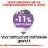 Royal Canin X-Small Sterilised - Hondenvoer - 1,5 kg