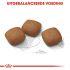 Royal Canin Maxi Joint Care - Hondenvoer - 3 kg