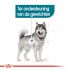Royal Canin Maxi Joint Care - Hondenvoer - 3 kg