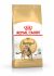 Royal Canin Bengal Adult - Kattenvoer - 10 kg