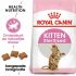Royal Canin Sterilised Kitten - Kattenvoer - 3,5 kg