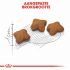 Royal Canin Sterilised Kitten - Kattenvoer - 3,5 kg