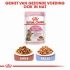 Royal Canin Sterilised Kitten - Kattenvoer - 3,5 kg