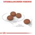Royal Canin Digestive Care Mini - Hondenvoer - 3 kg
