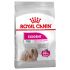Royal Canin Exigent Mini - Hondenvoer - 1 kg