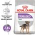 Royal Canin Sterilised Mini - Hondenvoer - 3 kg