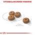 Royal Canin Sterilised Mini - Hondenvoer - 3 kg
