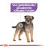 Royal Canin Sterilised Mini - Hondenvoer - 3 kg