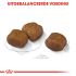 Royal Canin Dental Care Maxi - Hondenvoer - 9 kg