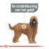 Royal Canin Dental Care Maxi - Hondenvoer - 9 kg