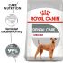 Royal Canin Dental Care Medium - Hondenvoer - 3 kg