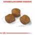 Royal Canin Dental Care Medium - Hondenvoer - 3 kg