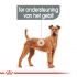 Royal Canin Dental Care Medium - Hondenvoer - 3 kg