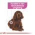 Royal Canin Relax Care Medium - Hondenvoer - 10 kg