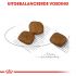 Royal Canin Coat Care Mini - Hondenvoer - 3 kg