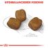 Royal Canin Dental Care Mini - Hondenvoer - 3 kg