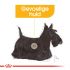 Royal Canin Dermacomfort Mini - Hondenvoer - 8 kg