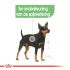 Royal Canin Digestive Care Mini - Hondenvoer - 8 kg
