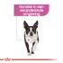 Royal Canin Relax Care Mini - Hondenvoer - 8 kg