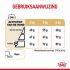 ROYAL CANIN® Adult 8+ Yorkshire Terriër  - Hondenvoer - 3 kg