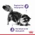 Royal Canin Appetite Control Care - Kattenvoer - 2 kg