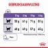 Royal Canin Appetite Control Care - Kattenvoer - 3,5 kg