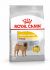 Royal Canin Dermacomfort Medium Adult - Hondenvoer - 12 kg