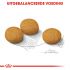 Royal Canin Dermacomfort Medium Adult - Hondenvoer - 12 kg