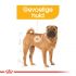 Royal Canin Dermacomfort Medium Adult - Hondenvoer - 12 kg