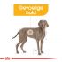 Royal Canin Dermacomfort Maxi Adult - Hondenvoer - 12 kg