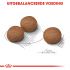 Royal Canin Digestive Care Medium Adult - Hondenvoer - 12 kg