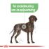 Royal Canin Digestive Care Maxi Adult - Hondenvoer - 12 kg