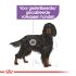 Royal Canin Sterilised Maxi  Adult - Hondenvoer - 12 kg