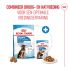 Royal Canin Maxi Puppy - Hondenvoer - 3 kg