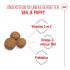 Royal Canin Maxi Puppy - Hondenvoer - 12 kg