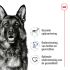 Royal Canin Maxi Adult - Hondenvoer - 12 kg