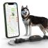 Weenect XT - Halsband met GPS tracker - Zwart
