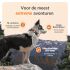 Weenect XT - Halsband met GPS tracker - Zwart