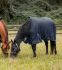 Waldhausen Arctic 200 gr - Winterdeken - Paardendeken - Blauw