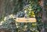 CJ Wildbird Foods Aarhus - Voederhuis - Naturel - 30x30x5,7 cm