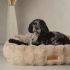 Scruffs Alpine - Hondenmand - Champagne