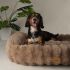 Scruffs Alpine - Hondenmand - Taupe