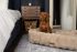 Scruffs Alpine - Hondenmand - Champagne
