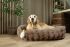 Scruffs Alpine - Hondenmand - Taupe