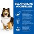 Hill's Science Plan Adult Sensitive Stomach & Skin - Hondenvoer - Kip - 12 kg