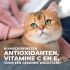 Hill's Science Plan Perfect Weight - Kattenvoer - Kip - 1,5 kg
